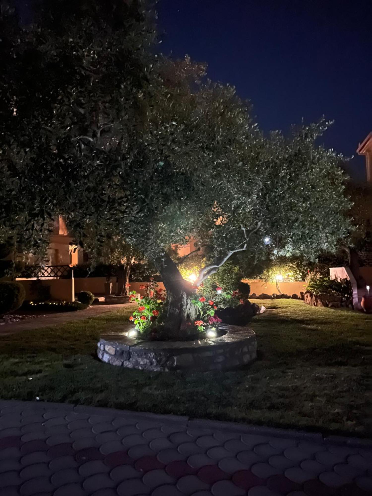 Apartmán En Ethria Limenaria  Exteriér fotografie